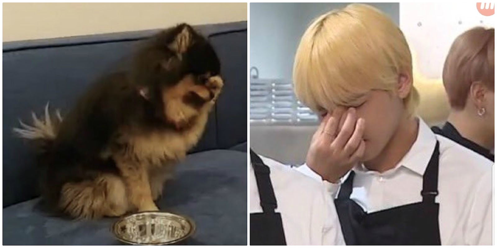 Just 8 Times BTS’s V & His Dog Yeontan Literally Looked Like Father