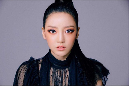UPDATE: Goo Hara’s Brother’s Lawyer Finally Speaks About the Case Against the Mother
