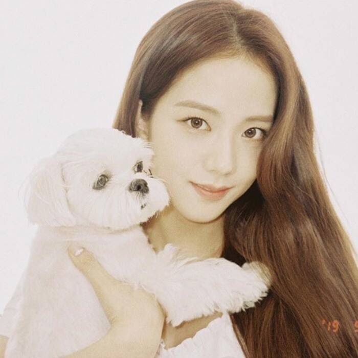 10 Cutest Photos Of BLACKPINK’s Jisoo With Her Dog To Celebrate His ...