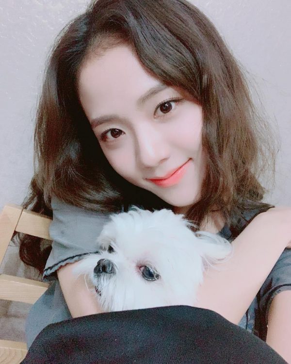 BLACKPINK Jisoo’s Response To A Fan Wanting To Marry Dalgom Is Priceless