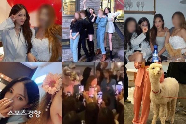 “Cheongdam Party” Celebrities Accused Of Abusing An Alpaca For Entertainment