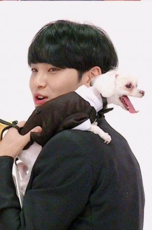 For SEVENTEEN’s Pets, It’s Anything But a Dog’s Life!