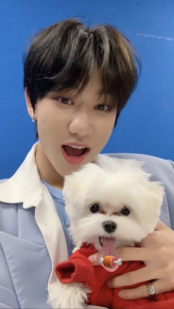 SEVENTEEN’s The8 With Pets Is Cuteness Overload